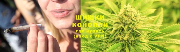 ГАЛЛЮЦИНОГЕННЫЕ ГРИБЫ Богородицк