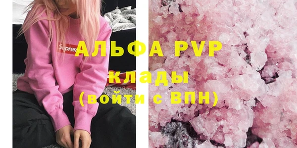 PSILOCYBIN Богданович