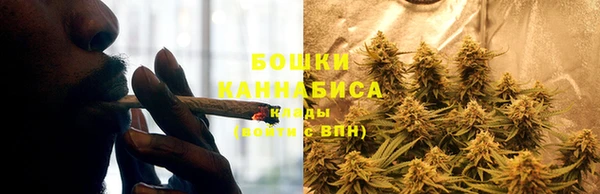 стафф Богородск