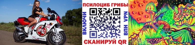 Купить закладки  Нижний Ломов  Псилоцибиновые грибы Cubensis 